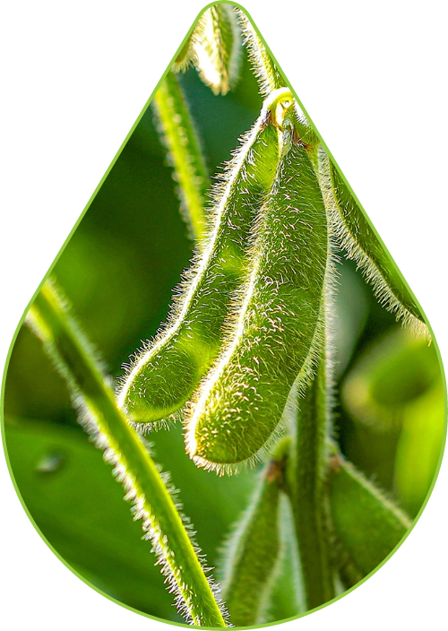 Imagem de uma gota